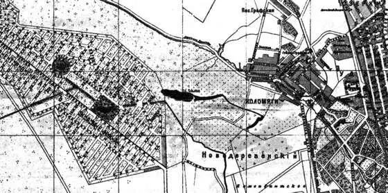 Неосуществленный план городаспутника на карте Петрограда 1916 г Правда ни - фото 44