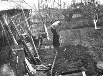 Работа на приусадебном хозяйстве Фото середины 1960х гг из личного архива - фото 100