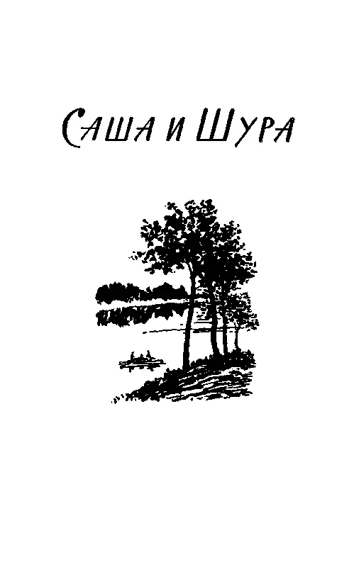 САША И ШУРА Часть первая Я СТАНОВЛЮСЬ ШУРОЙ НЕ ЗАБУДЬ ПРО САМОЕ ГЛАВНОЕ Всю - фото 2