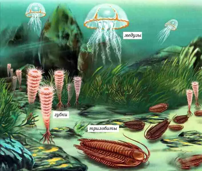 Обитатели древнейшего моря В силурийских морях приблизительно 420390 - фото 3