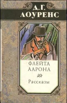 Дэвид Лоуренс - Избранные произведения в 5 томах. Книга 2: Флейта Аарона. Рассказы