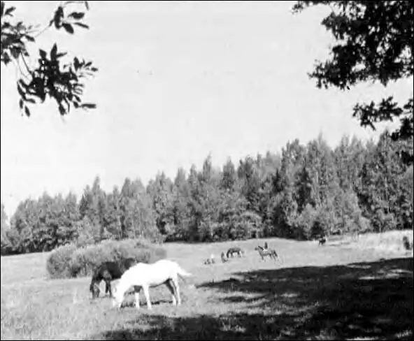 Поляна в Абрамцеве Конец 1970х годов Т В Березина И Л Вишневская и я - фото 20