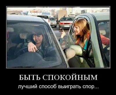 2 Приём Из черного в белое Для этого необходимо преподнести упрек - фото 6