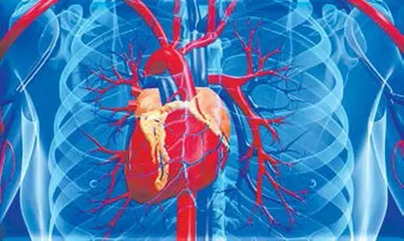 Рис 1 Сердце человека Не научная и тем более не медицинская точка зрения - фото 30