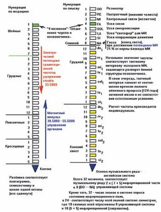 Рис 4 Тона позвонков относящихся к Системе Управления информационному полю - фото 73