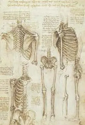 Рис 8 Скелет Леонардо да Винчи 10 Генератор Темной Материи - фото 79