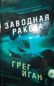 Грег Иган - Заводная ракета