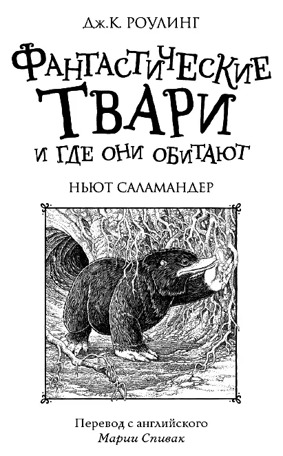 Сердечно благодарим Дж К Роулинг за создание этой книги и благородное решение - фото 1