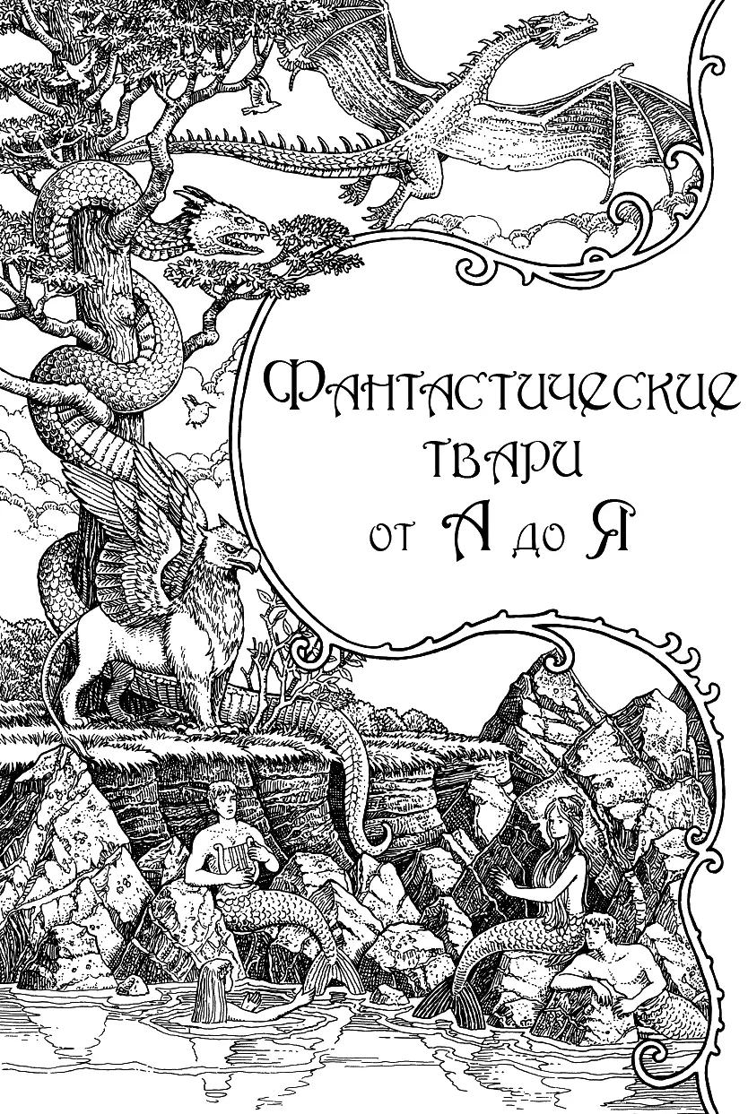 А Авгурия AUGUREY или ирландский феникс Категория ММ ХХ Родина авгурий - фото 9