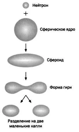 Модель атомного ядра в виде капли воды и этапы предшествующие делению ядра - фото 2