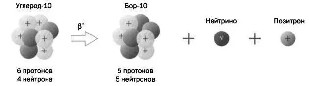 Бетаплюсраспад 3 При р распаде один из нейтронов превращается в - фото 26