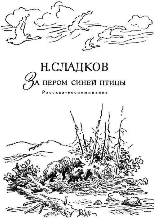 Если не путешествовать откуда узнаешь о красоте СИНЯЯ ПТИЦА О жизни этой - фото 20