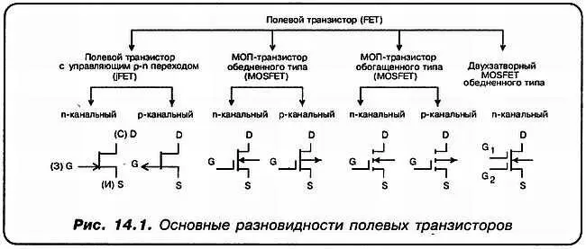 АматорА не многовато будет СДа нет в самый раз Прежде всего приведем - фото 86