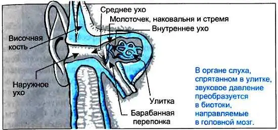 Все ясно воскликнет читатель знакомый с научнопопулярной литературой - фото 47
