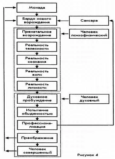 Промежуточные выводыгипотезы 1 Жизнь сложной гомеостатически построенной - фото 5
