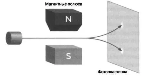 Опыт Штерна Герлаха Пучок выпускаемых из одного источника частиц разделяется - фото 30