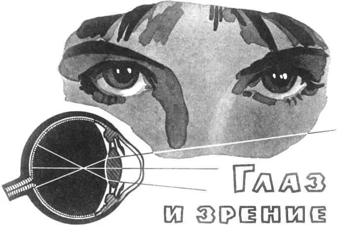 Изучение природы должно включать в себя также изучение чувств человека Чтобы - фото 22