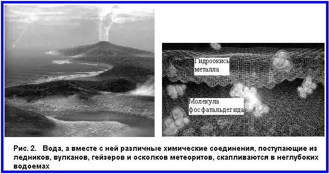 Чарлз Дарвин и его современники полагали что жизнь могла возникнуть в водоеме - фото 2