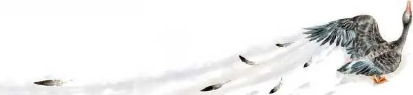 Но вот под густыми ветками буковых деревьев вдруг показался серый гусь Он - фото 64