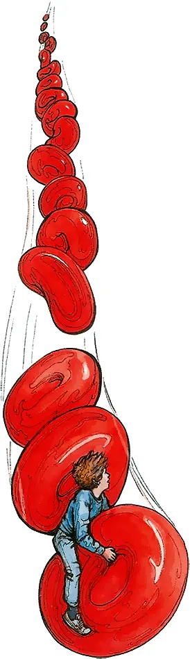 К негодующему голосу присоединились другие Но тут близнецы поджали ноги и ток - фото 25