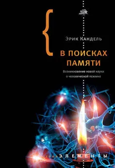 Эрик Кандель - В поисках памяти: Возникновение новой науки о человеческой психике