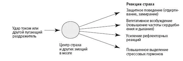 251 Эволюционно консервативный механизм защитных реакций страха Исследуя - фото 76