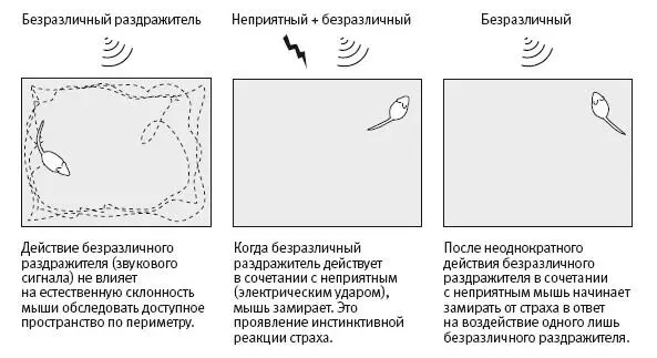 252 Формирование у мышей приобретенного страха Хотя система нейронных цепей - фото 77