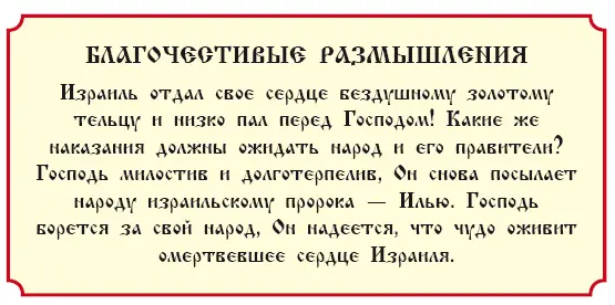 История 37 О Навуфеевом винограднике Ахав и жена его Иезавель царствовали над - фото 156