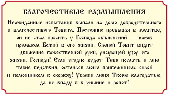 История 49 О путешествии юного Товия Книга Товита гл 4 5 и 6 Пришел день и - фото 206