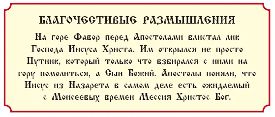 История 30 О бесноватом немом Евангелия от Матфея гл 17 от Марка гл 9 - фото 271