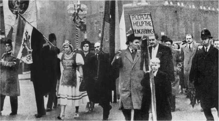 Демонстрация солидарности с Венгрией Великобритания Ноябрь 1956 года Архив - фото 34