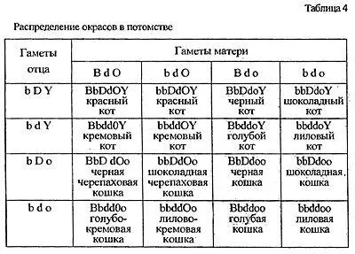 Генотипы используемой в скрещивании пары можно уточнить не только исходя из - фото 14