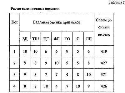 Итоговый показатель селекционного индекса для каждого кота складывается из - фото 17
