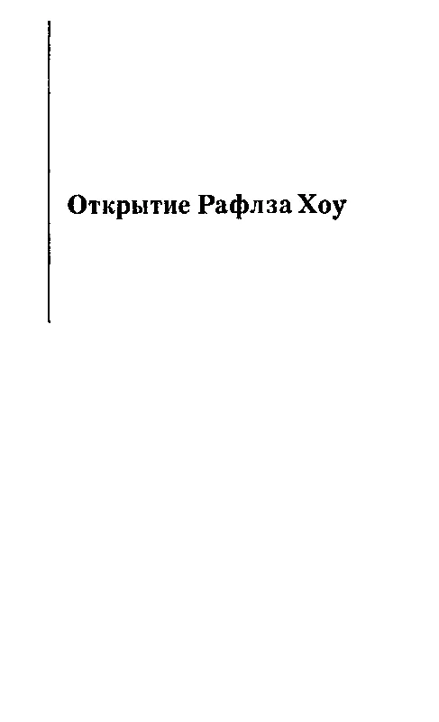 Открытие Рафлза Хоу Глава I ДВОЙНАЯ ЗАГАДКА Ну конечно он не придет с - фото 2