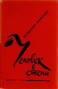 Владимир Фоменко - Человек в степи