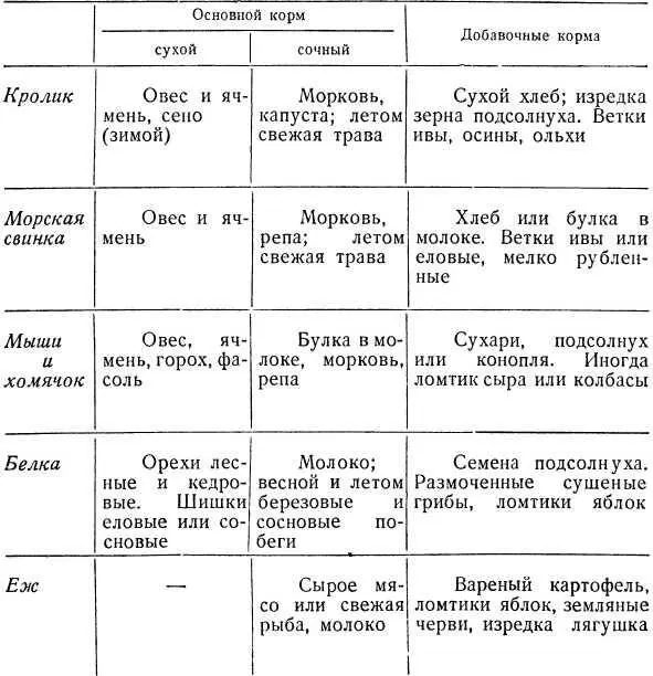 Например кролику перед уходом в школу часов в 8 утра положи в кормушку - фото 49