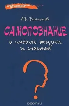 Алексей Большаков - Самопознание: о смысле жизни и счастья