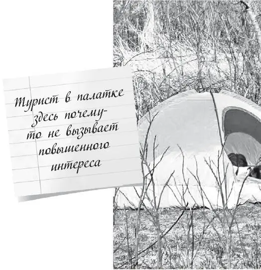 Громогласный все время смеющийся негр плоховато говорящий поанглийски но - фото 76
