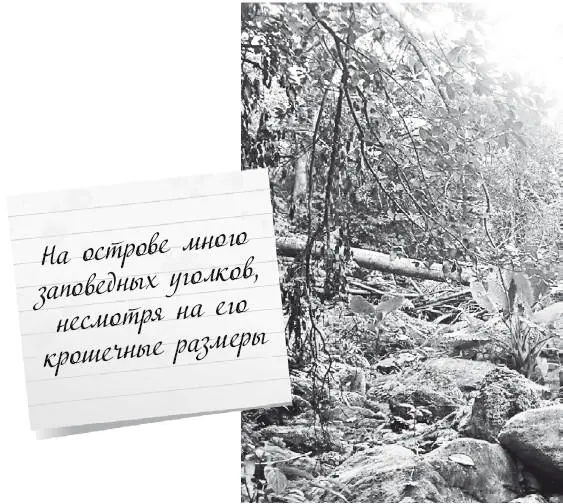 С вами как с иностранцем возможно будут разговаривать более понятно но между - фото 113