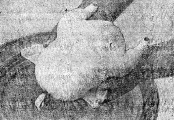 ТУТЫРГАН ТАВЫК курица фаршированная потатарски Для фарширования берется - фото 56