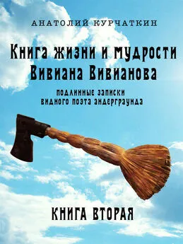 Анатолий Курчаткин - Книга жизни и мудрости Вивиана Вивианова. Подлинные записки видного поэта андерграунда. Книга вторая