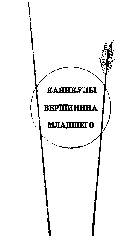 КАНИКУЛЫ ВЕРШИНИНАМЛАДШЕГО 1 В закопченные стекла огромных вокзальных окон - фото 7