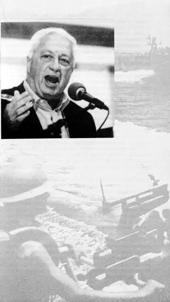Летом 1979 года в Александрии стояла жара от которой плавились мозги Но в - фото 12