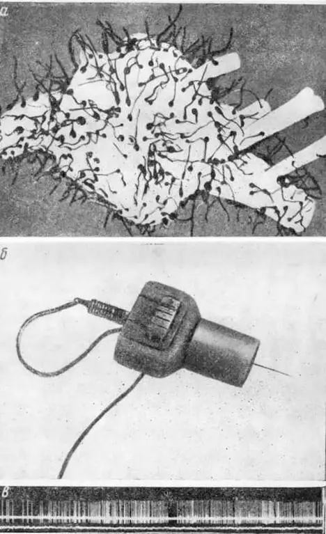 Рис 14 Нервная клетка и запись ее электрической активности Нервная клетка с - фото 52