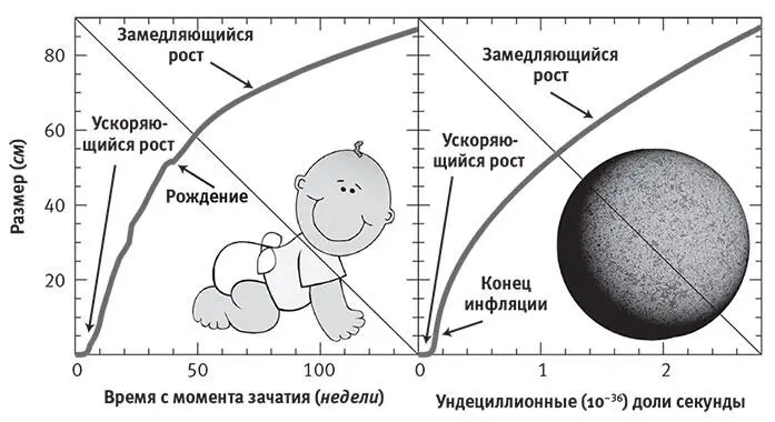 Рис 55Теория инфляции утверждает что новорождённая Вселенная росла во - фото 33