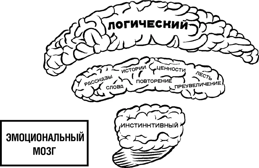 Рис 15 Эмоциональный мозг Лидерство основано на эмоциях Ребенком Майк - фото 21