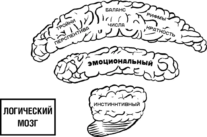 Рис 17 Логический мозг Логический мозг Каждому приятно считать себя - фото 33