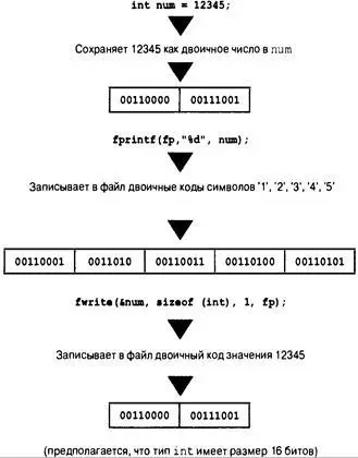 Рис 133 Двоичный и текстовый вывод ФУНКЦИЯ sizet fwrite Ниже показан - фото 420