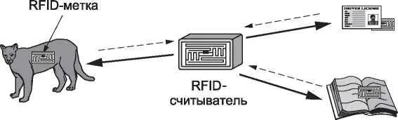 Рис 133RFID используется для объединения в сеть предметов повседневного - фото 36