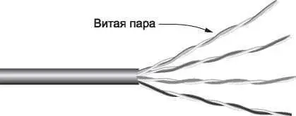 Рис 22 Кабель UTP категории 5 с четырьмя витыми парами В сетях разных - фото 48